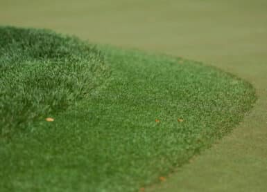 GrassTonte Kevin C. Cox / Getty / AFP