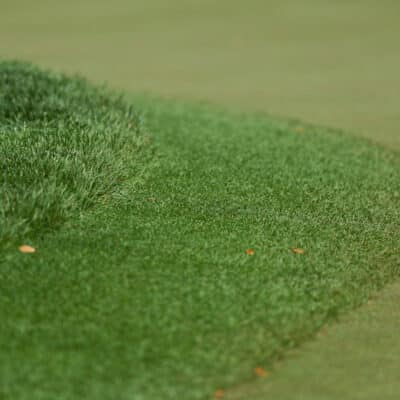 GrassTonte Kevin C. Cox / Getty / AFP