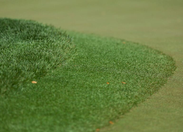 GrassTonte Kevin C. Cox / Getty / AFP